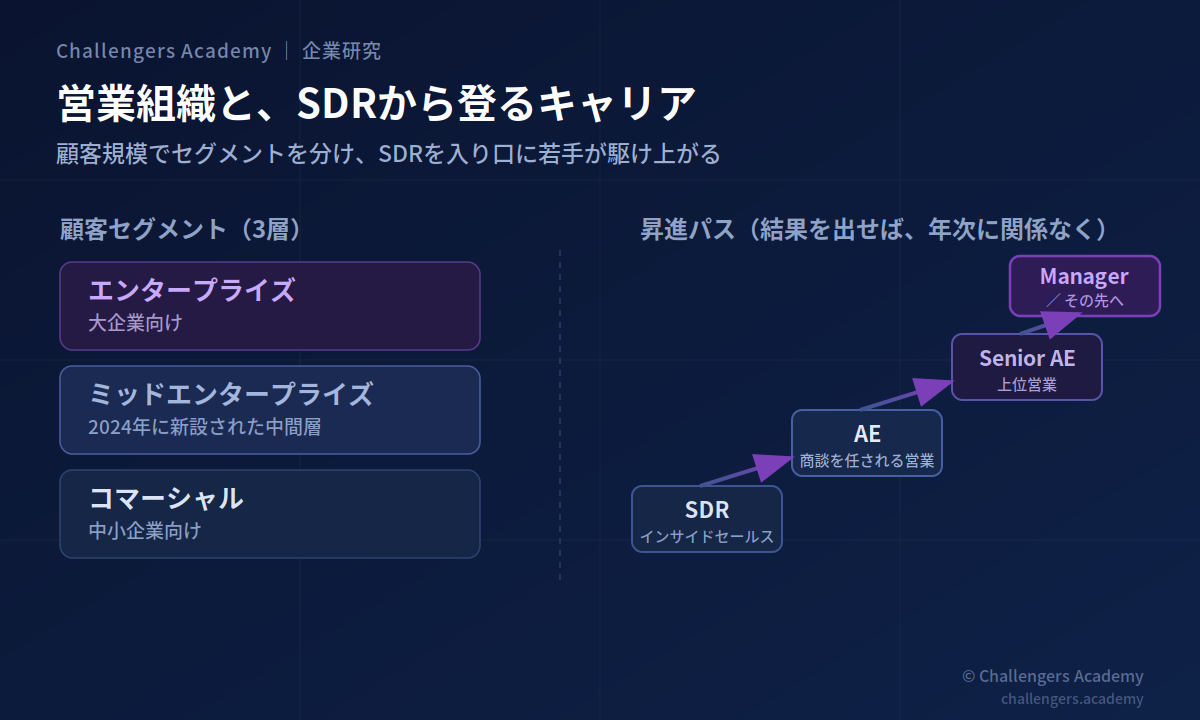 Datadogの営業組織：エンタープライズ・ミッドエンタープライズ・コマーシャルの3層と、SDRから登る昇進パス